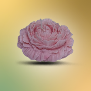 Big Rose Pink